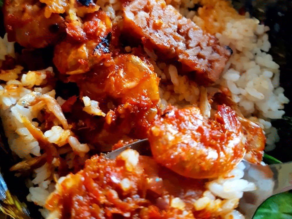 UDANG UDANG